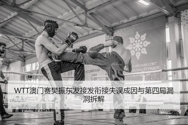 WTT澳门赛樊振东发接发衔接失误成因与第四局漏洞拆解